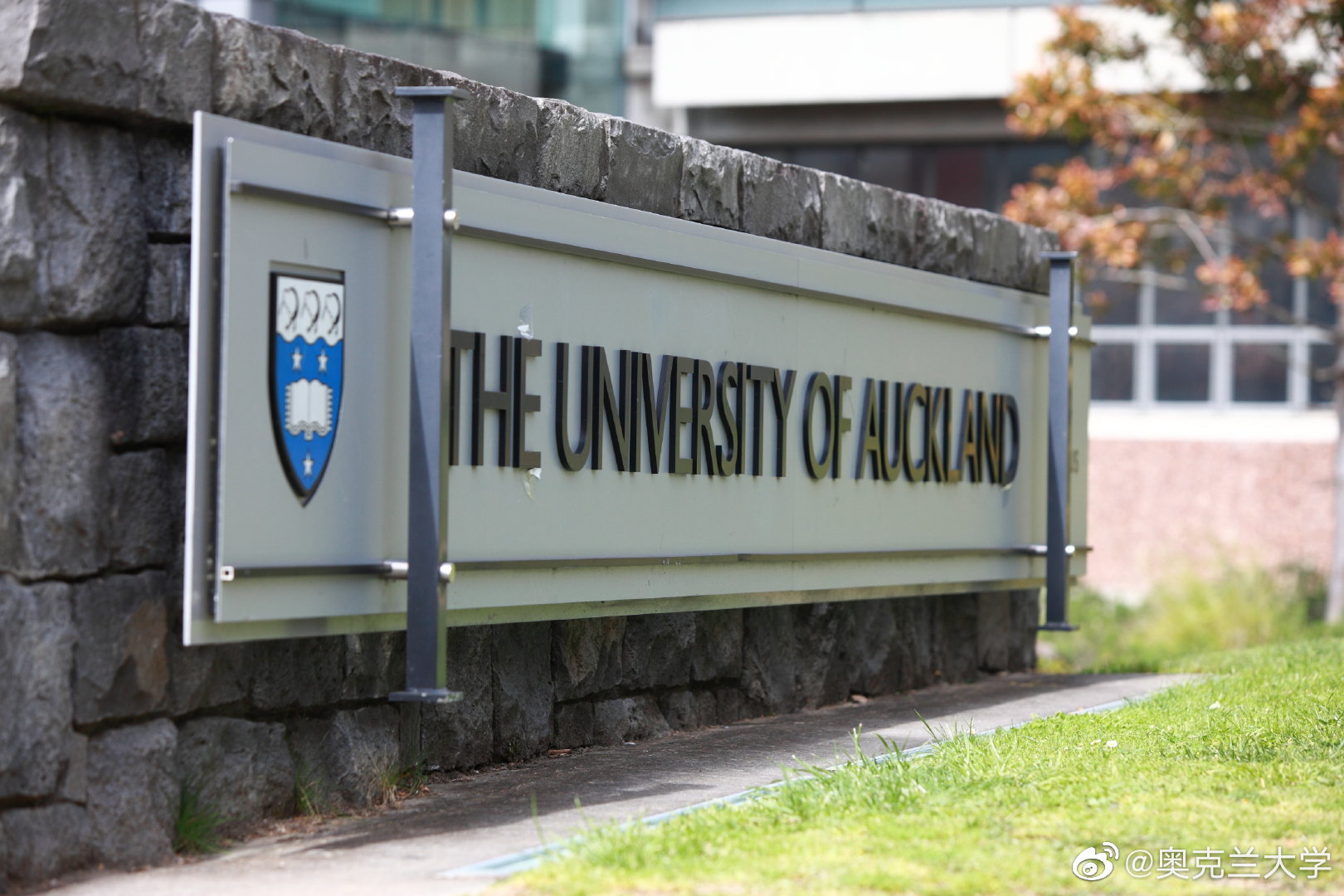 新西兰No.1奥克兰大学：专业/本科/硕士申请全攻略！